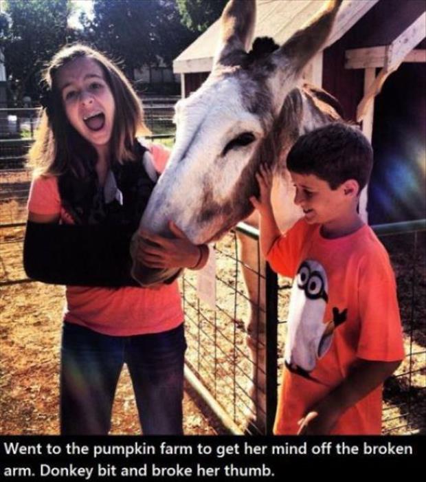 broken arm memes - Went to the pumpkin farm to get her mind off the broken arm. Donkey bit and broke her thumb.
