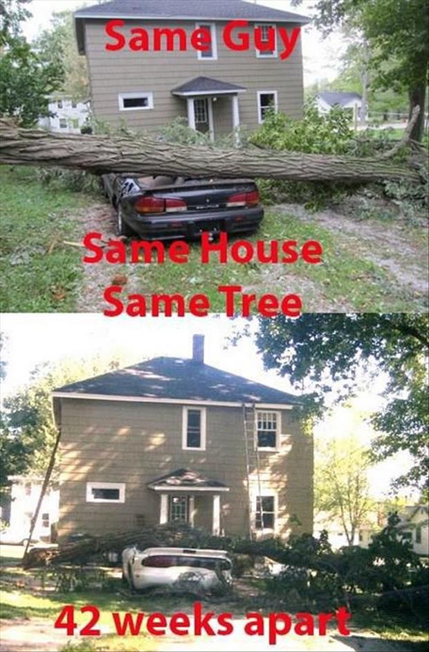 having a really bad day - | Sama Gay Same House Same Tree 42 Weeks apar