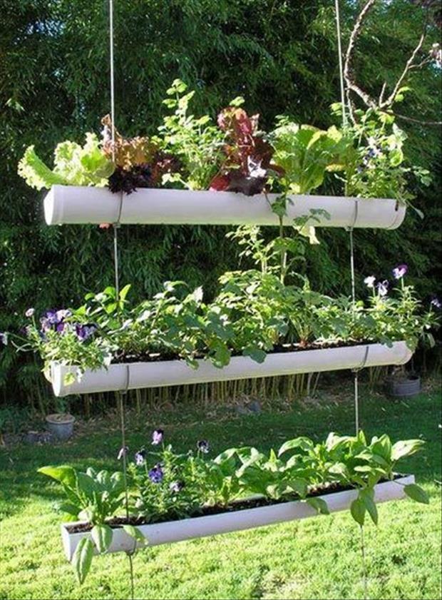 Awesome garden ideas