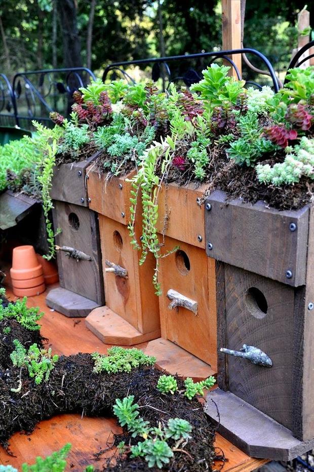 Awesome garden ideas