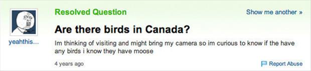 stupid shit people have said - Resolved Question Show me another >> Are there birds in Canada? Im thinking of visiting and might bring my camera so im curious to know if the have any birds i know they have moose 4 years ago Report Abuse yeahthis...