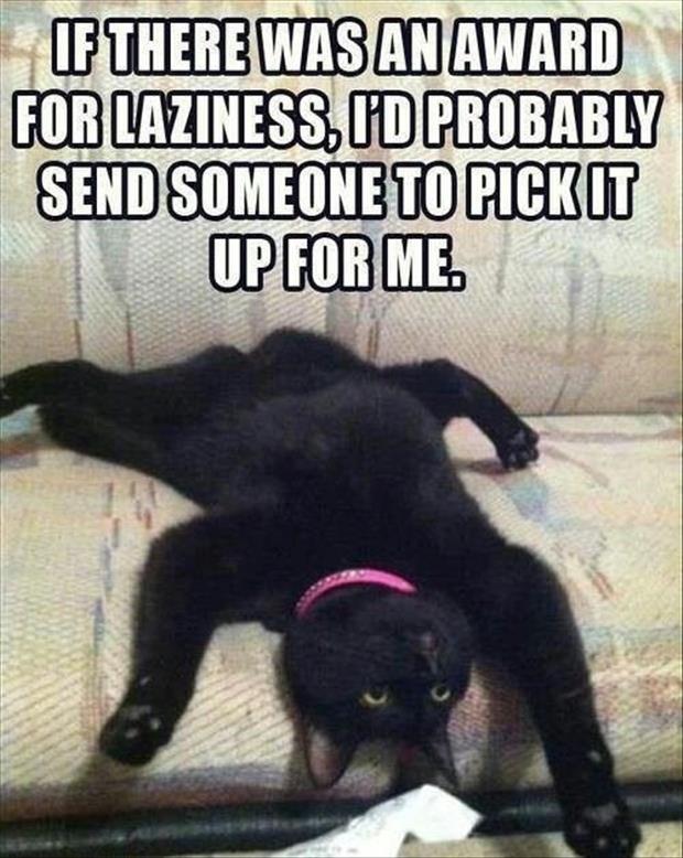 Laziness level: expert