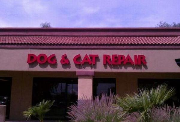roof - Dog & Cat Repair