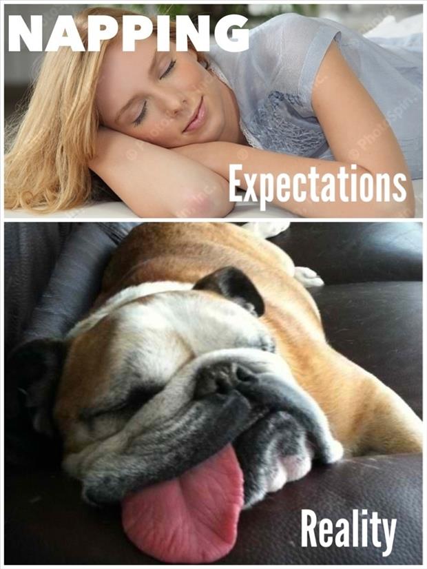 22 Expectation vs Reality Examples