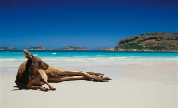 Lucky Bay, Australia - This beach is inside a national park and is one of the few beaches kangaroos go to.