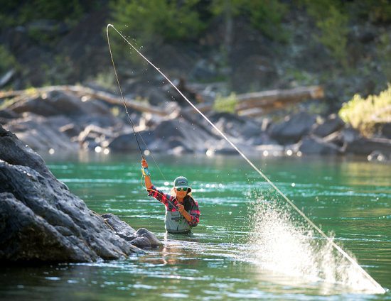Grab your rod...it's time to go fishing