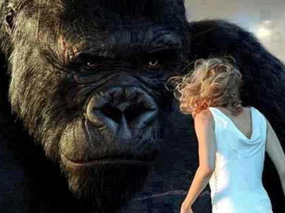14. King Kong 2005: 250.4 million    Original estimated budget: 207 million    Worldwide gross: 550.5 million    Worldwide adjusted gross: 665.9 million