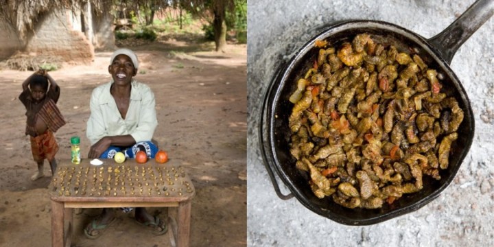 Mchinji, Malawi: Finkubala Caterpillar in tomato sauce by Regina Lifumbo, 53 years old