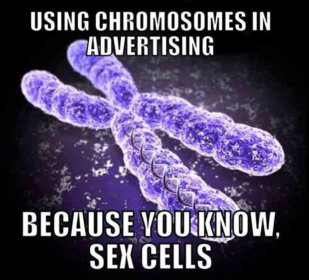 pun definition of chromosome - Using Chromosomes In Advertising Because You Know, Sex Cells