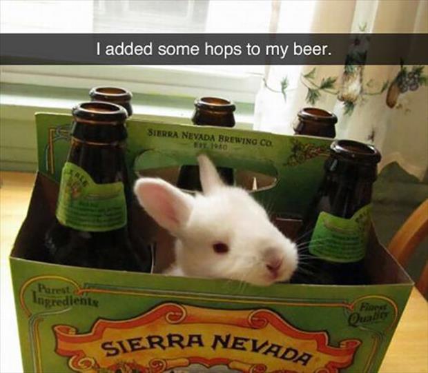pun added hops to my beer - I added some hops to my beer. Sierra Nevada Brewing Co. Parest Ingrediente Sierra Neva Nevada
