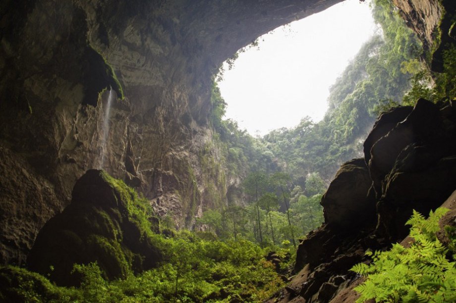 Located on the border between Laos and Vietnam, what makes this forest so unique is that it exists entirely underground, inside the largest known cave in the world. To reach it, you have to rappel down a steep drop into the cave, which had kept it completely untouched by man until 2009.