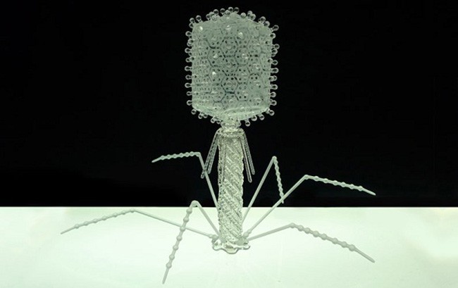 Glass Sculptures of Viruses by Luke Jerram