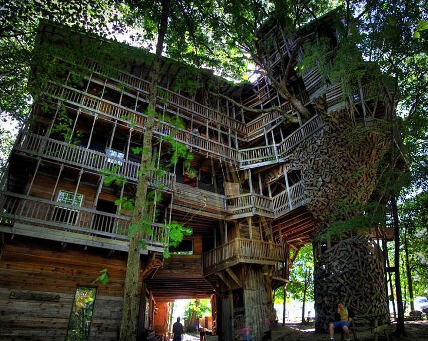 The Ministers Tree house - the tallest tree house in the world!