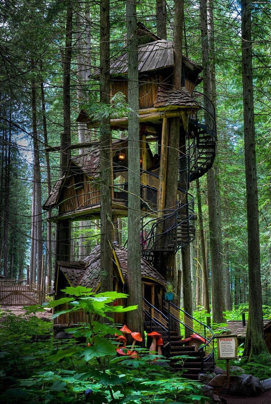 Three Story Tree house