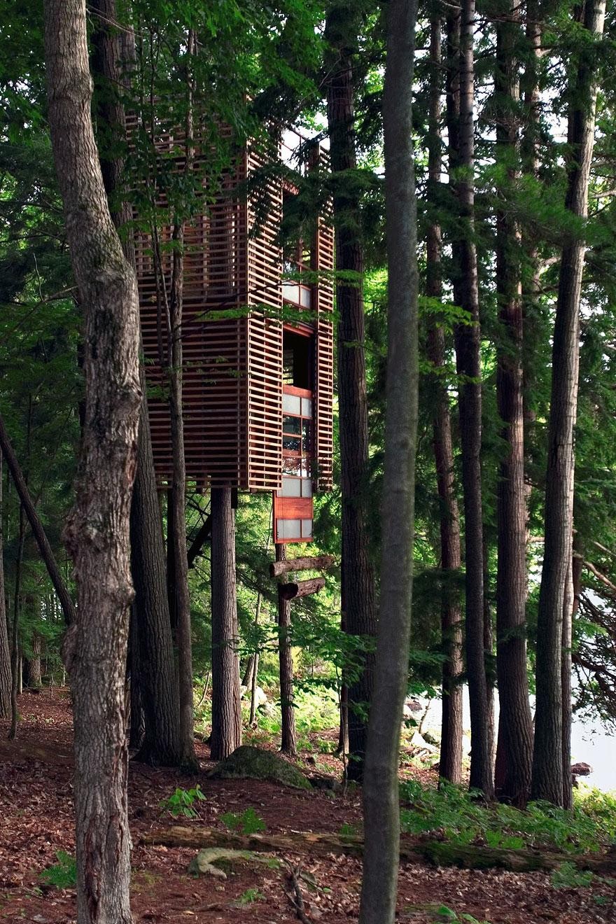 Vertical Tree house