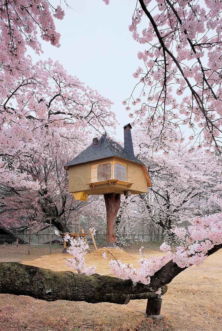 The "Tree house Tetsu" looks like an amazing place to relax and enjoy the cherry blossoms.