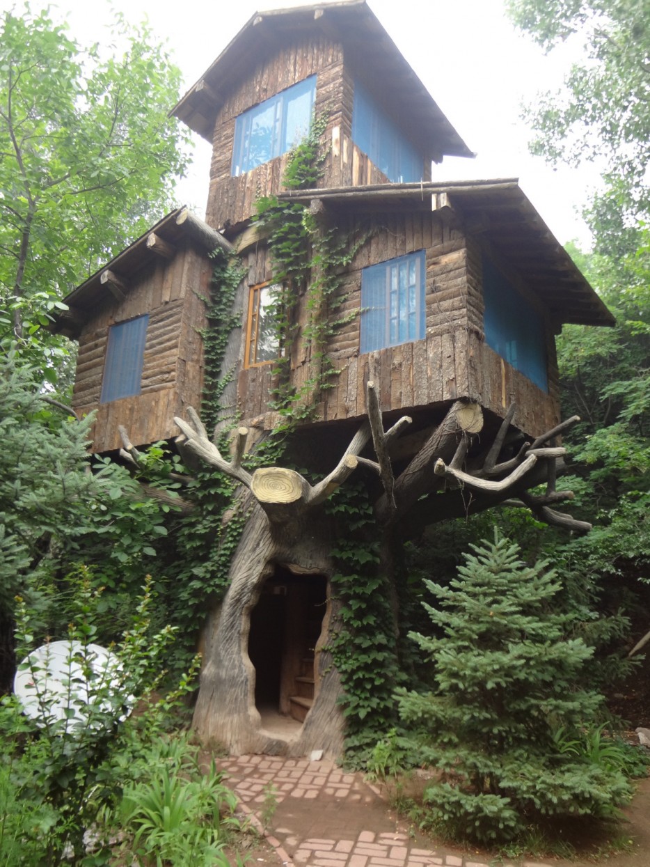 The most amazing tree houses in the world