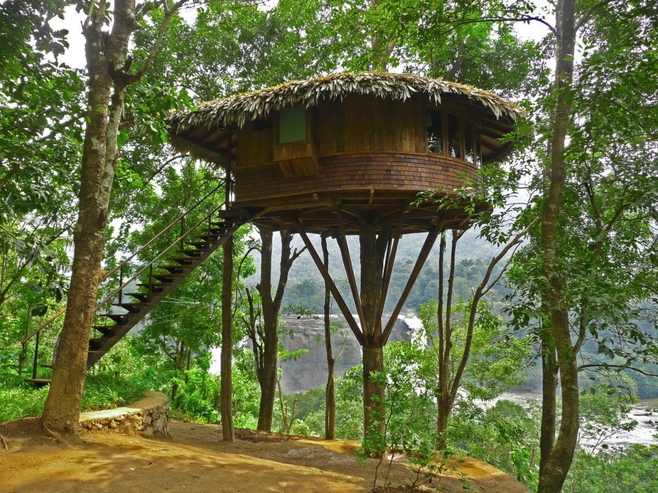 The most amazing tree houses in the world