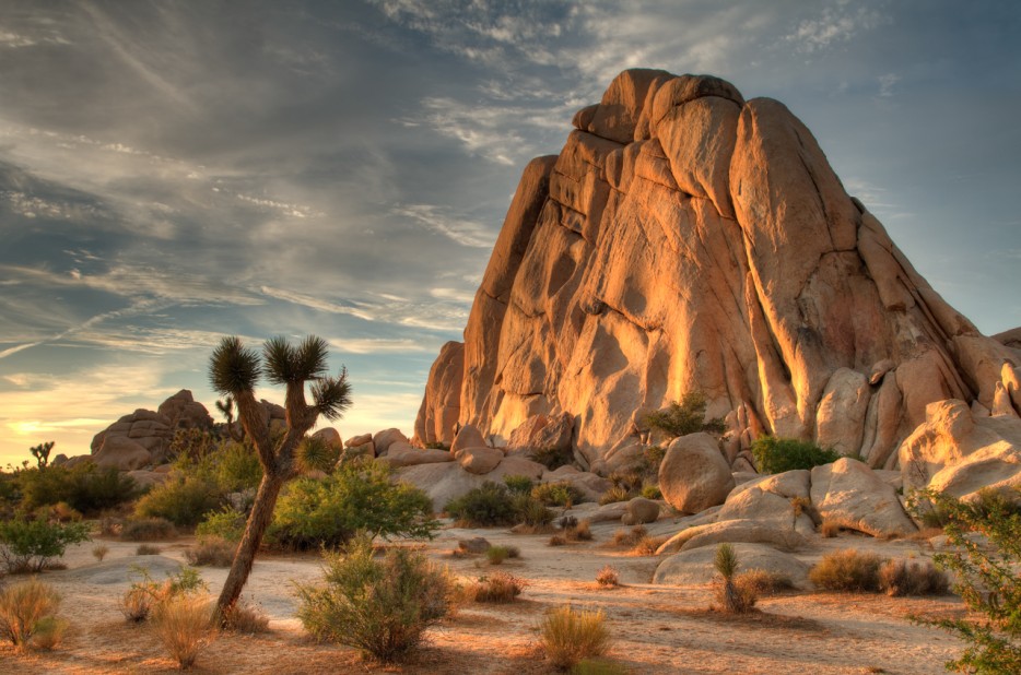 The park is named for the Joshua trees that are only found in and around the Mojave Desert. Besides the two deserts, the park also has many rock outcrops that are popular with climbers.