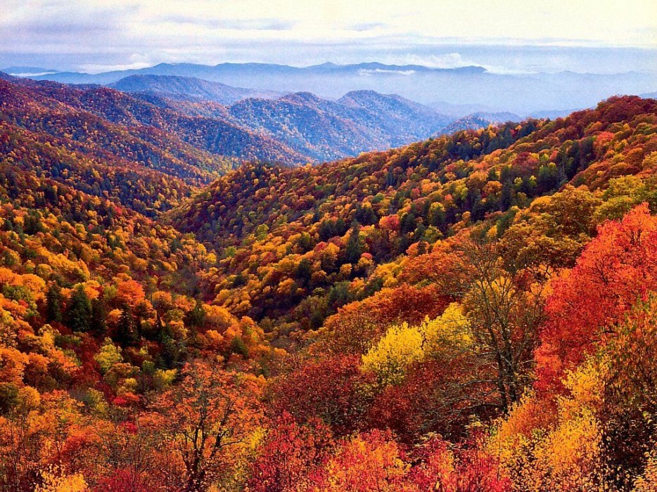 Great Smoky Mountains National Park in Tennessee and North Carolina