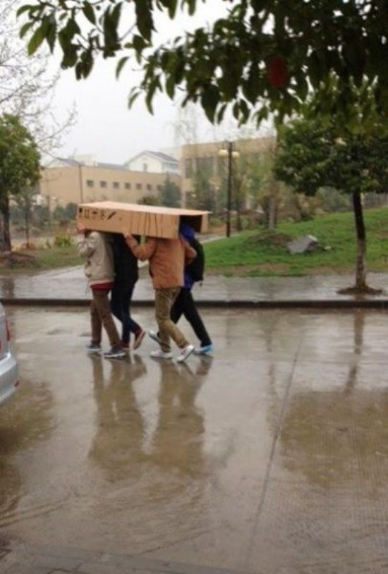 A rainy walk across campus with your friends is nothing a box can't handle