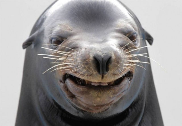 The 40 Least Photogenic Animals To Ever Have Their Picture Taken