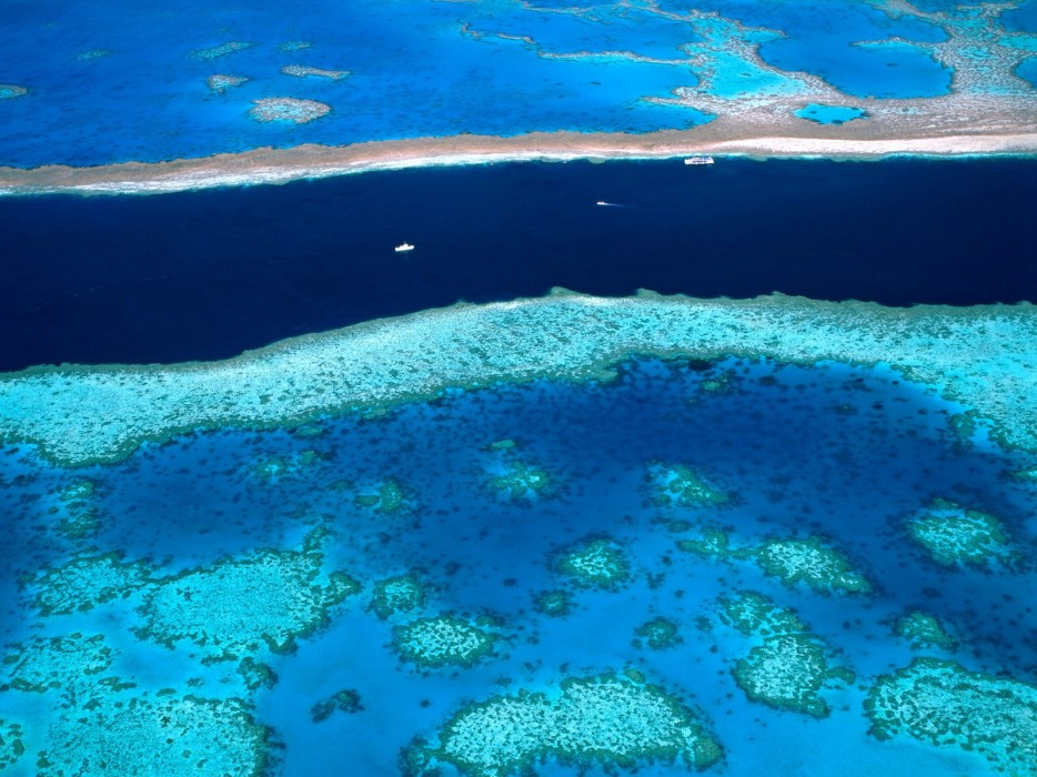 The Great Barrier Reef in Australia is the largest in the world and can be seen from space.