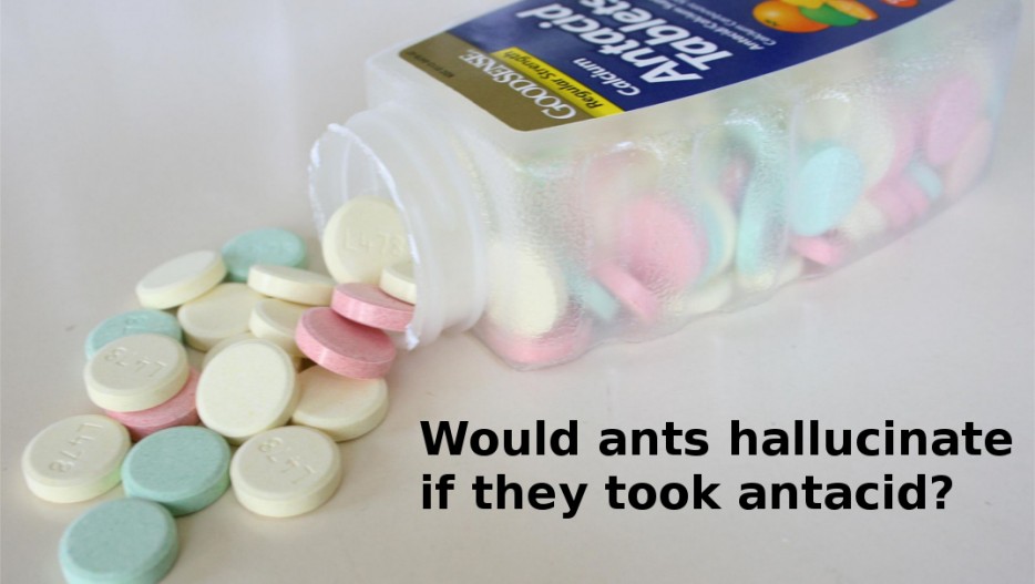 pill - ump Would ants hallucinate if they took antacid?