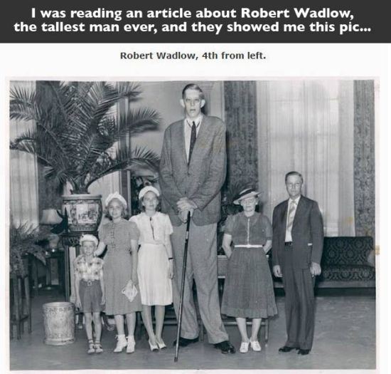 tallest man in history - I was reading an article about Robert Wadlow, the tallest man ever, and they showed me this pic... Robert Wadlow, 4th from left.