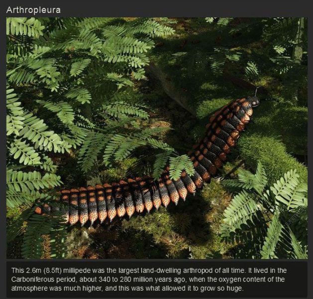 ancient period animals - Arthropleura This 2.6m 8.5ft millipede was the largest landdwelling arthropod of all time. it lived in the Carboniferous period, about 340 to 280 million years ago, when the oxygen content of the atmosphere was much higher, and th