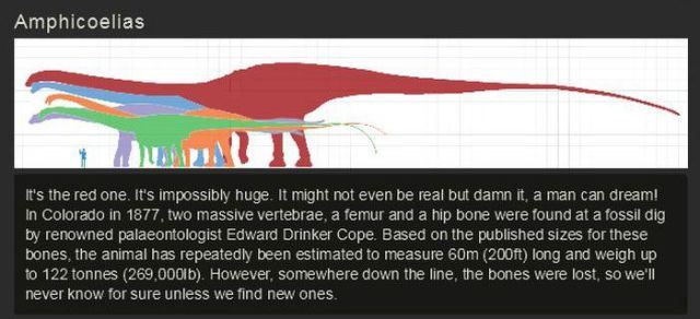 graphic design - Amphicoelias It's the red one. It's impossibly huge. It might not even be real but damn it, a man can dream! In Colorado in 1877, two massive vertebrae, a femur and a hip bone were found at a fossil dig by renowned palaeontologist Edward 