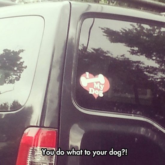 bone my dog bumper sticker - You do what to your dog?!