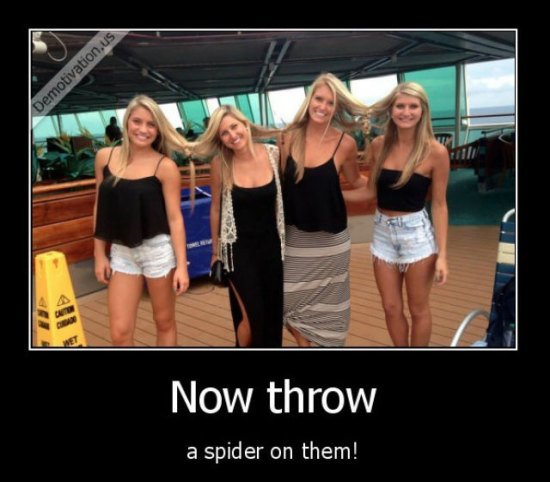 now throw a spider on them - Demotivation.us Now throw a spider on them!