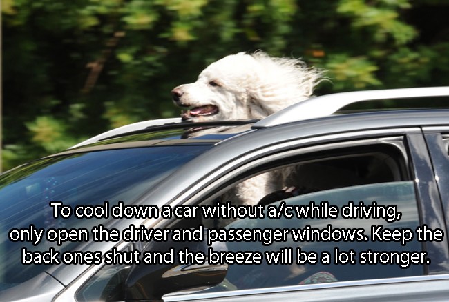 Car - To cool down a car without acwhile driving, only open the driver and passenger windows. Keep the back ones shut and the breeze will be a lot stronger.