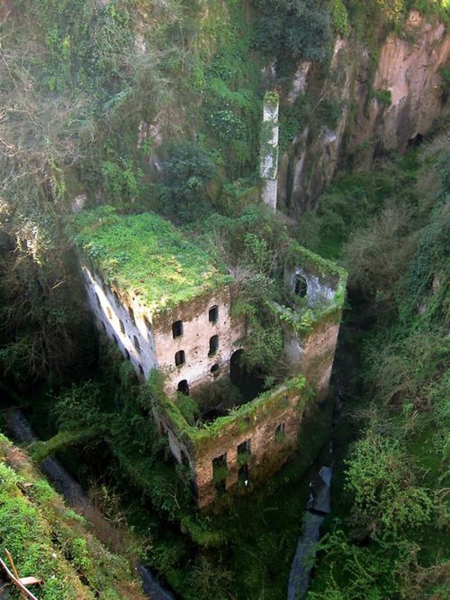 37 Images of nature reclaiming what we abandon