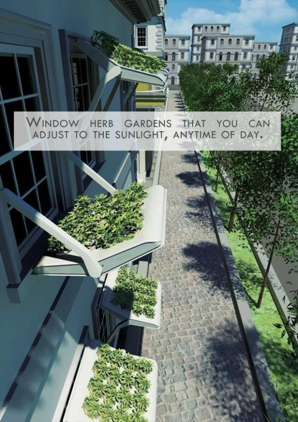 Window Herb Gardens That You Can Adjust To The Sunlight, Anytime Of Day. Ne