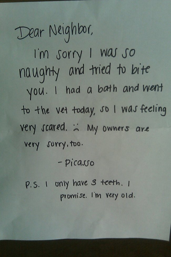 funny apologies - Dear Neighbor, I'm sorry I was so naughty and tried to bite you. I had a bath and went to the vet today, so I was feeling very scared. My owners are very sorry, too. Picasso P.S. I only have 3 teeth. I promise. I'm very old.