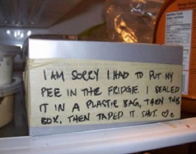 funny apology - I Am Soccy I Had To Put Ny Pee In The Fridge. I Sealed Tin A Plastic Bag, Then Tell Box, Then Tapep T Shut. Je