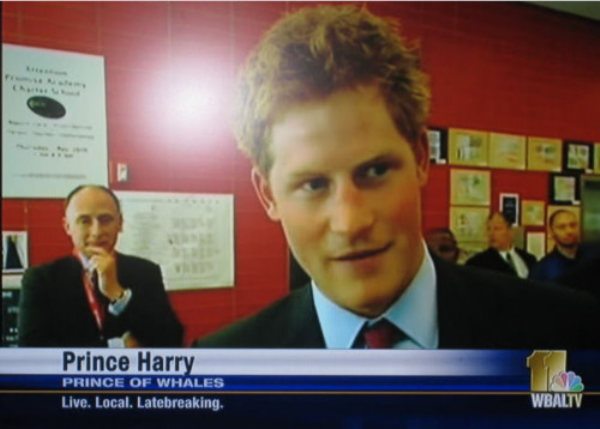 harry prince of whales - Prince Harry Prince Of Whales Live. Local. Latebreaking. Wbaltv
