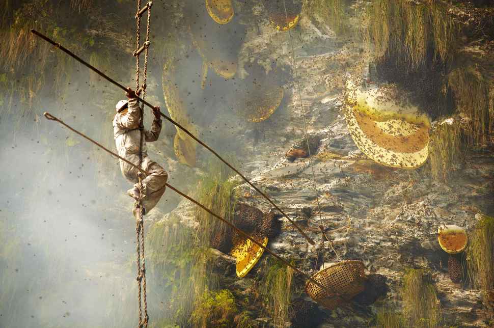 honey hunters of nepal