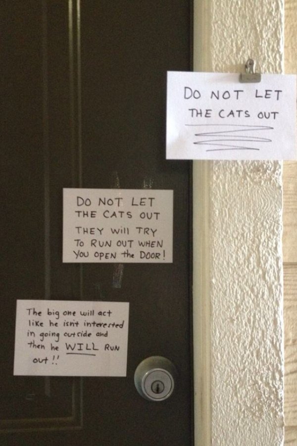 funny notes to strangers - Do Not Let The Cats Out Do Not Let The Cats Out They will Try To Run Out When You Open the Door! The big one will act he isn't interested in going outside and then he Will Run out!!