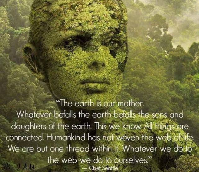 earth is our mother - "The earth is our mother. Whatever befalls the earth befalls the sons and daughters of the earth. This we know. All things are connected. Humankind has not woven the web of life. We are but one thread within it. Whatever we do to the