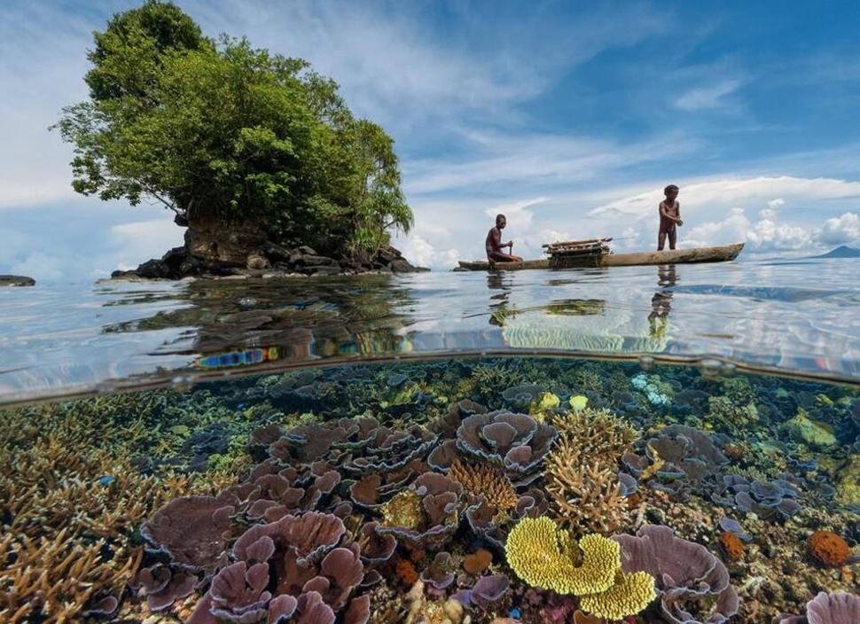 underwater papua new guinea crystal clear water