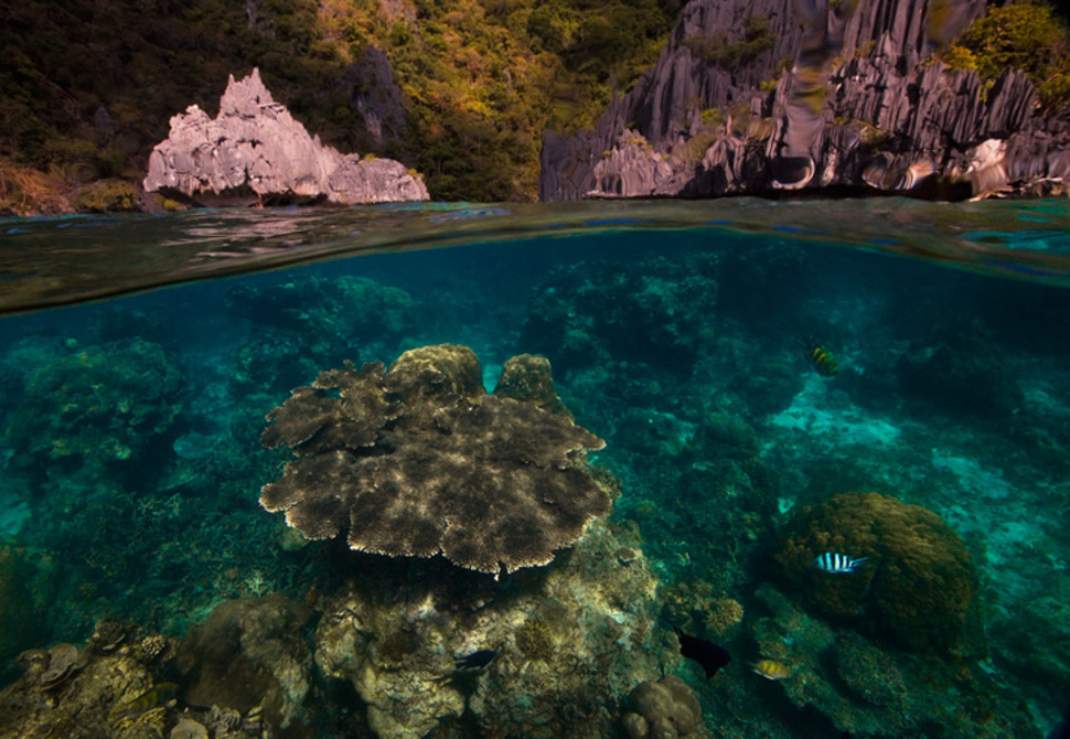 underwater palawan underwater