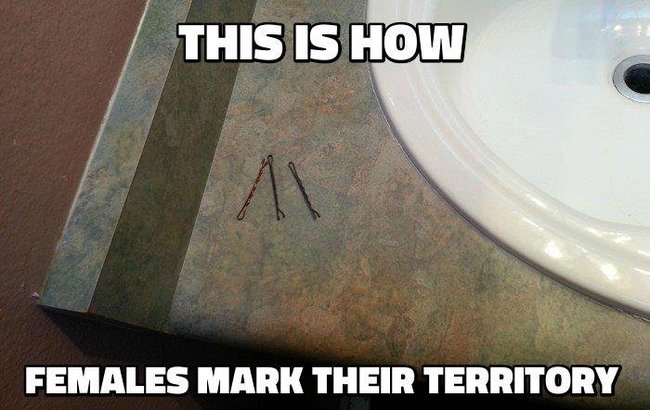 examples funny - This Is How Females Mark Their Territory