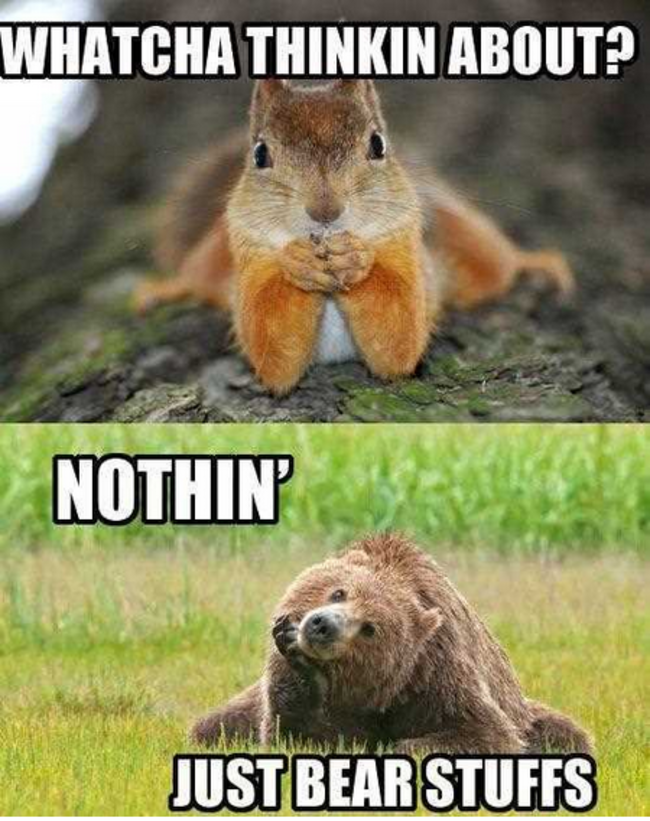 squirrel and bear - Whatcha Thinkin About? Nothin Justbear Stuffs