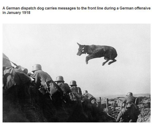 Interesting photos throughout history