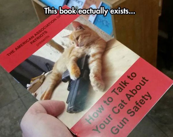 This book eactually exists... The American Association Of Patriots presents How to Talk to Your Cat About Gun Safety