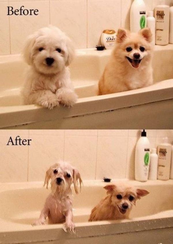 Funny before and after transformations