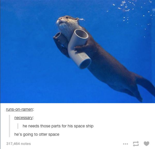 tumblr - he's going to otter space - runsonramen necessary he needs those parts for his space ship he's going to otter space 317,464 notes